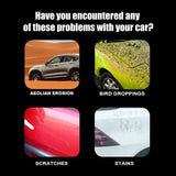 Meme with car issues including aeolian erosion, bird droppings, scratches, and stains.